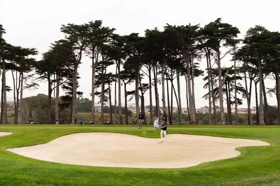 Giocatori di golf in una trappola di sabbia presso il campo da golf TPC Harding Park a San Francisco, California.