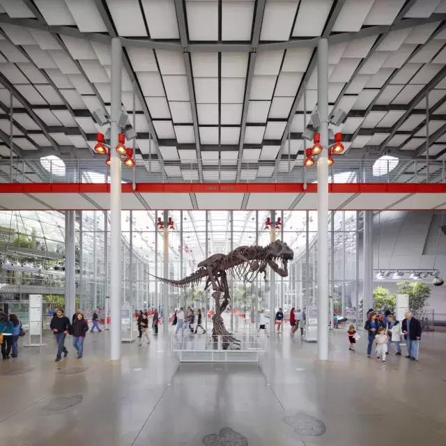 恐龙在加州科学院